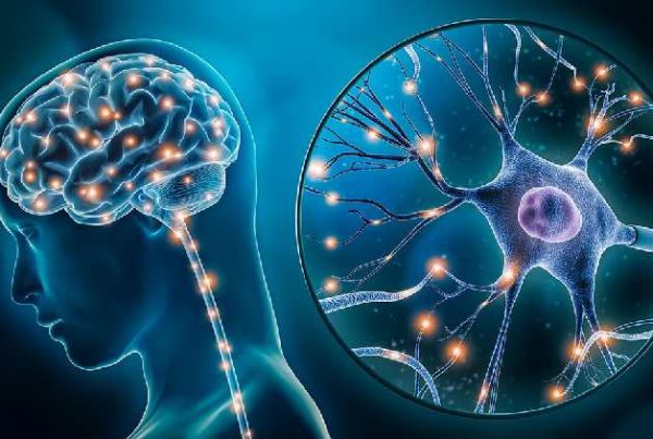 Neuroplasticity