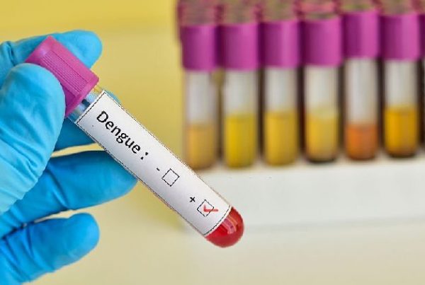 Dengue Fever