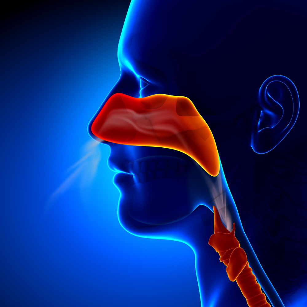 Relief From Issues of the Ear, Nose and Throat